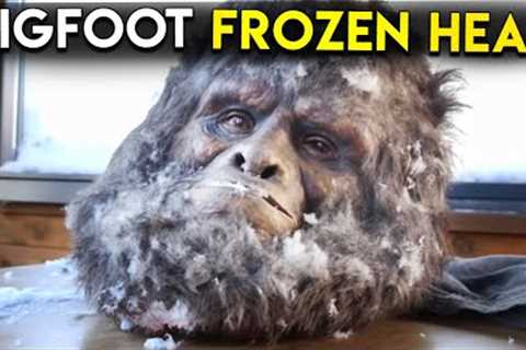 Unprecedented Trail Cam Discovery You Need to See