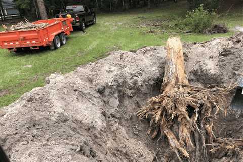 Stump Digging Vs Burning