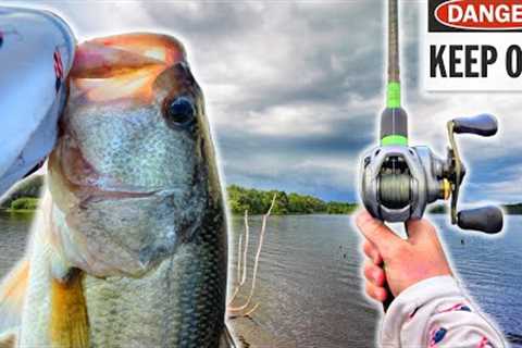 Fishing An Abandon Trophy Bass Lake (Multiple Giants)