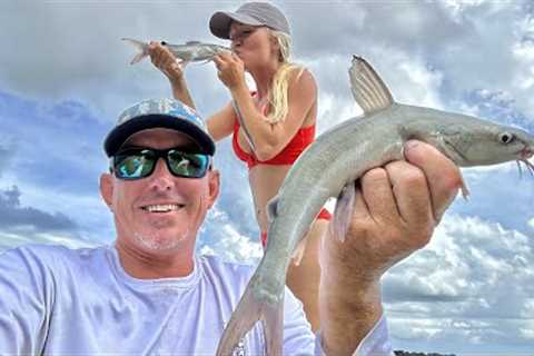 The Most Underrated Fish in the Sea! (Saltwater Catfish Catch, Clean and Cook)