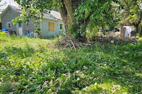 NATURE Ready To DEVOUR This Neglected Property &amp; Then I Showed Up...