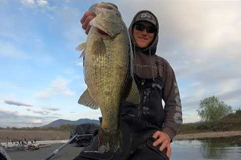 Clear Lake Fishing Report April 15-18th 2023