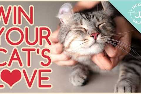 Speaking Cat: 5 Ways to Show Your Cat You LOVE Them