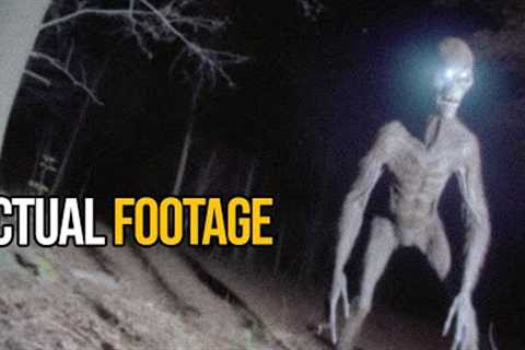 Trail Cam Footage The AUTHORITIES Want REMOVED