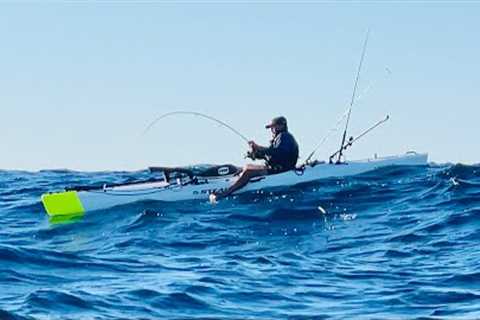 The BIG FISH FIGHT - Catch &amp; Cook