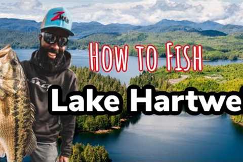 5 Ways To Catch Fish on Lake Hartwell