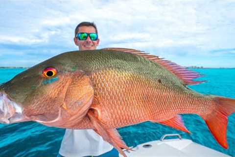 The SECRET to Catching GIANT Snapper... Catch Clean Cook (Mutton Snapper)