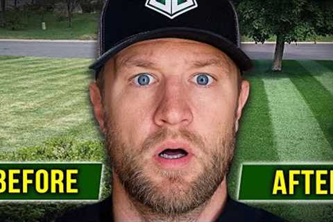 Why Your Lawn Sucks EVERY YEAR. Let's Fix It.