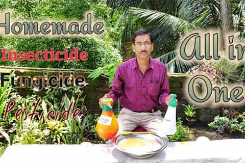 How to make Insecticide, Pesticide , Fungicide , Antibiotics Miracle All in one Solution.