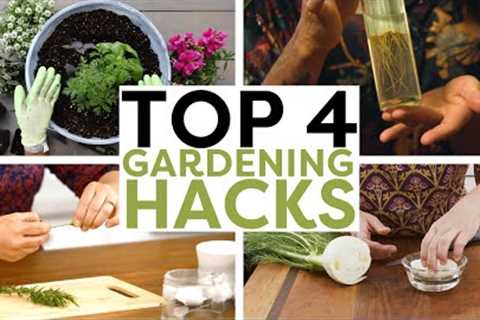 4 Gardening Hacks to Help Your Plants Prosper | HGTV Handmade