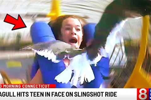 Funniest Summer News Bloopers