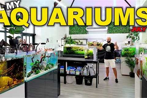 I LOVE My Studio | 20 aquascapes, 1000's of Fish: Cichlids, Tetra, Nano Fish (Full Tour July '23)
