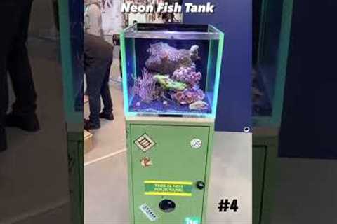 Some of my TOP 5 saltwater Tanks!