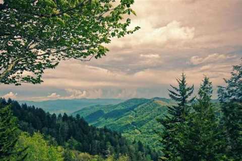 Smoky Mountain Experience: 9 Tips to Authentically Enjoy the Area