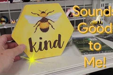 Let's Go Shopping! - Shop Along With Me - Goodwill Thrift Store