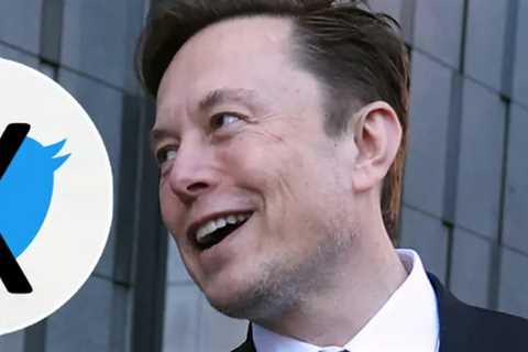 Twitter Is for the Birds, X Marks the Spot as Fans Blast Elon Musk's Name Change