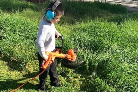 Kids / Adults | BLACK+DECKER 3-in-1 Corded Lawn Mower, String Trimmer, &amp; Edger