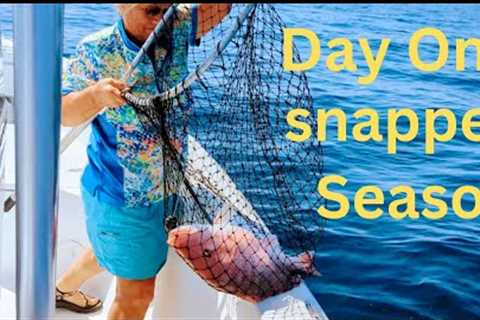 I Love Catching These Fish