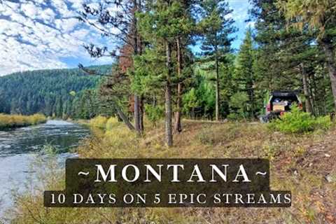 Fly Fishing Montana - 10 days of truck camping - 5 epic streams