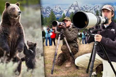 I Photographed the World's Most Famous Bear (GRIZZLY 399)
