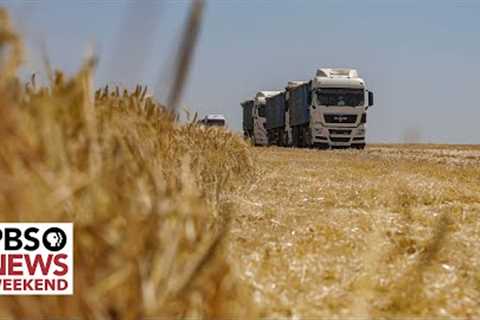 Global food security concerns reignite as clock ticks down on Ukraine grain deal