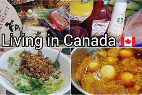 Daily life living in Canada| Grocery shopping | Vietnamese braised pork and eggs | Beef salad