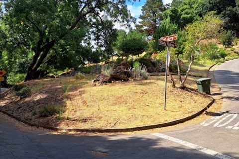 Local Hills Scenery