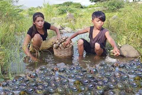 Survival skills: Found and catch snail for food - Snail spicy cooking, Eating with Younger brother