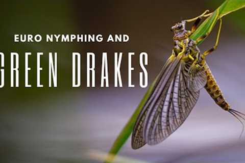 Small Water Dry Fly Fishing and Euro Nymphing