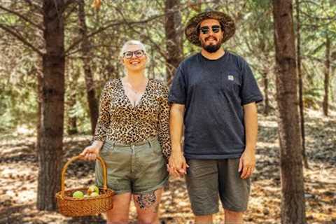 The SHOCKING Transformation of our Portugal Homestead - What Happened?