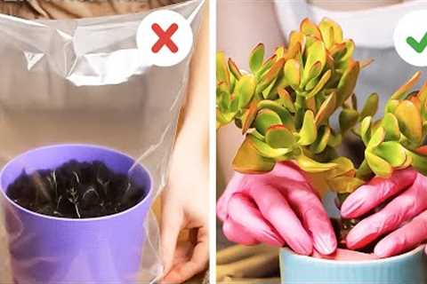 Nurturing Your Plant to Thrive at Home🌱🥦