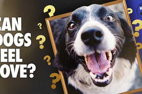 The Science of Love: Dogs, Us, and Oxytocin