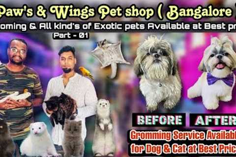 Pet Grooming and Exotic Pets | Paws &amp; Wings Bangalore | Grooming Service in Bangalore Part 01