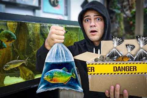 Buying MYSTERY FISH BOX OFF the DARK WEB for Aquarium!!