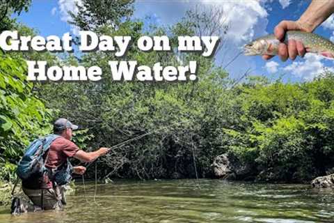 This day started with a BANG! Fly-Fishing Wild Trout - Central NY