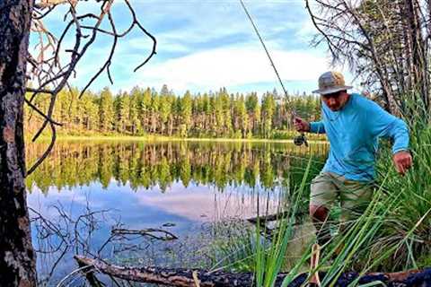 Solo Mountain Lake Fishing!!! (never thought I would catch this...)