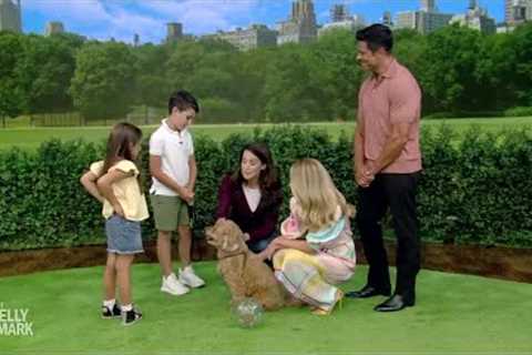 Dog Days of Summer: Dog Training Tips With Andrea Arden