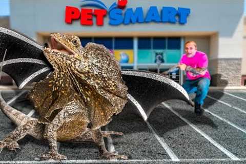 I Brought Dragons To PetSmart!