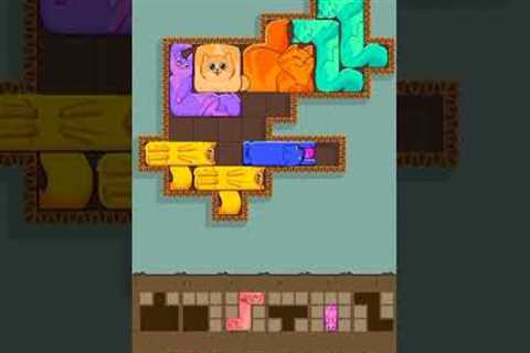 🐈 cats puzzles gameplay walkthrough (Android app)#shorts #funny #games