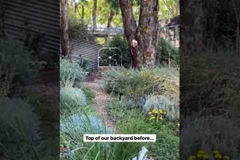 A garden makeover BEFORE &amp; AFTER - Garden Design - Landscape Design - Gardening in Australia