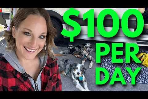 This Website Pays You for Reviewing Amazon Products