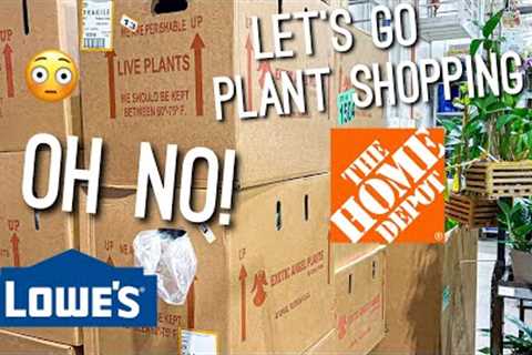 Went from bad to crazy good finds! 😍❤️🪴 Let’s go plant shopping at Lowe’s &amp; Home Depot! 🧡💙
