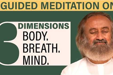 Meditation on the 3 Dimensions: Body, Breath, Mind | Gurudev