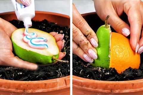 Smart Ways To Grow Your Own Plants From Food Leftover