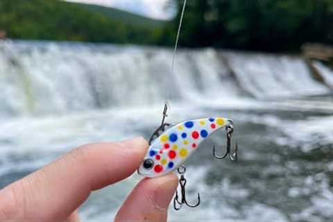 Do Wonder Bread Lures Catch Fish?! (RIVER FISHING)