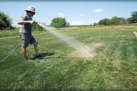 How To Fix DRY SPOTS In Your Lawn