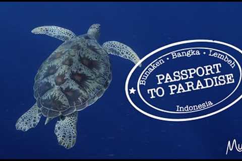 Scuba diving North Sulawesi - Indonesia in 2023. Passport to Paradise - Bunaken, Bangka and Lembeh