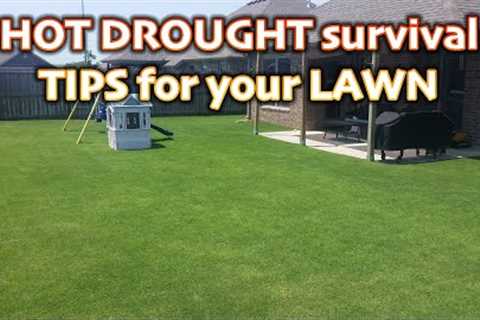 3 Easy Ways to Help Your Lawn Survive a Hot Drought // Summer Heat Lawn Care Tips for Green Grass
