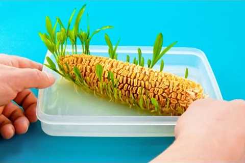 How To Grow Fruit &amp; Vegetables At Home 🌱 No Garden Necessary!