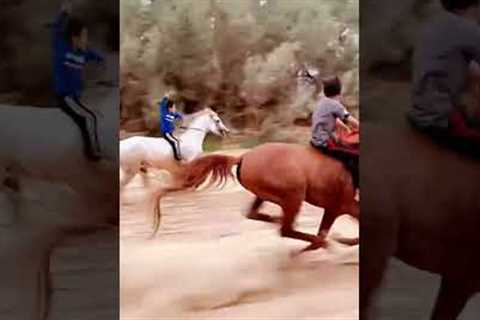 horse race status - ek khatola jail ke bhitar spacel for horse